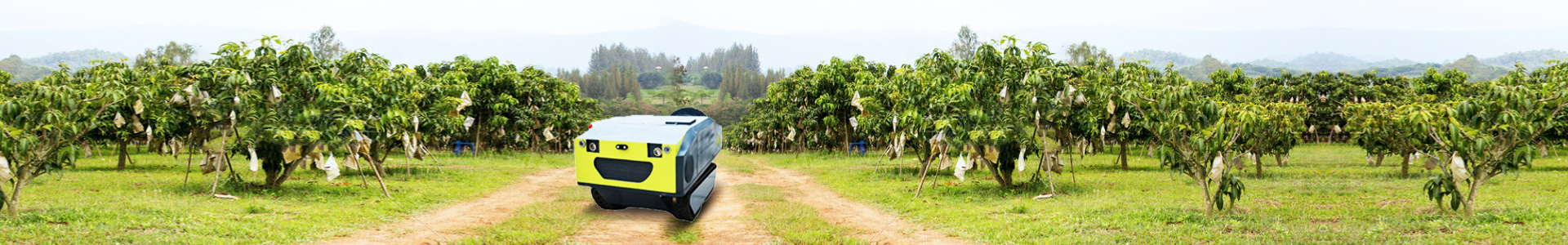 product_cate_img (2)