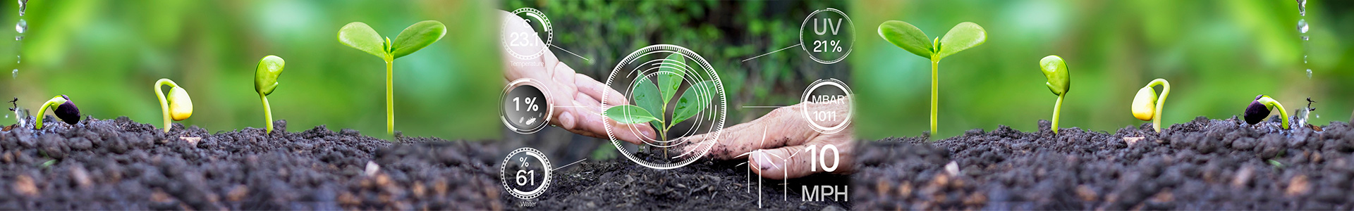 product_cate_img (5)