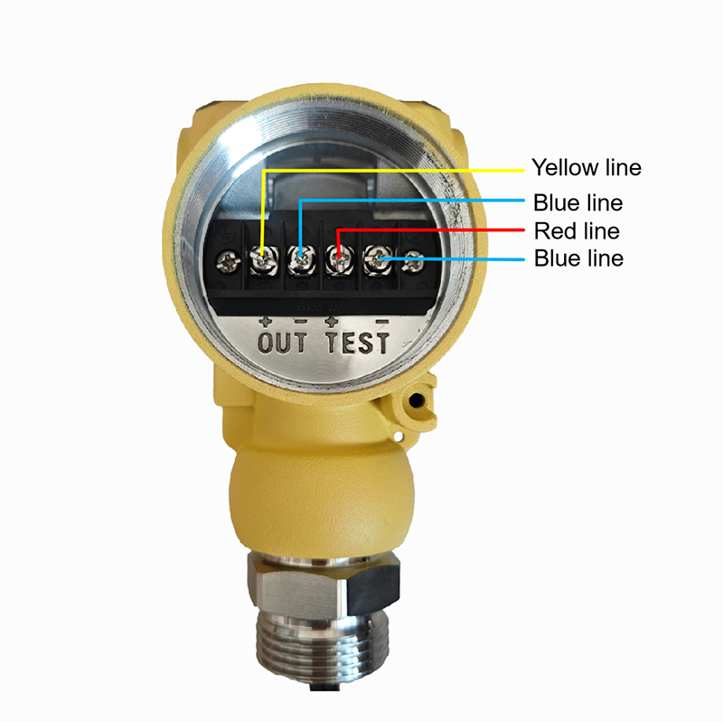 Stainless Steel 4-20mA Hydrostatic Piezometer Submersible Water Pressure Transmitters with Screen Explosion-proof Housing